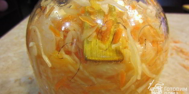 квашенная капуста