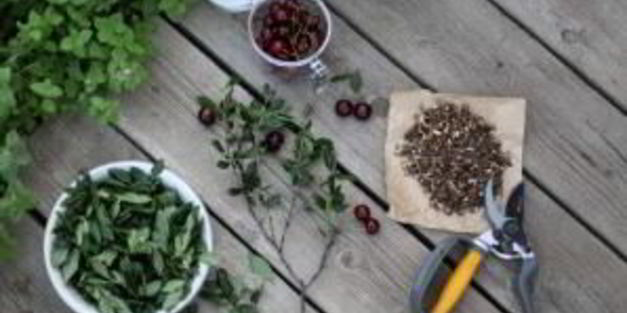 квашеные огурчики