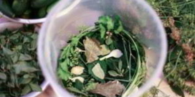 квашеные огурчики