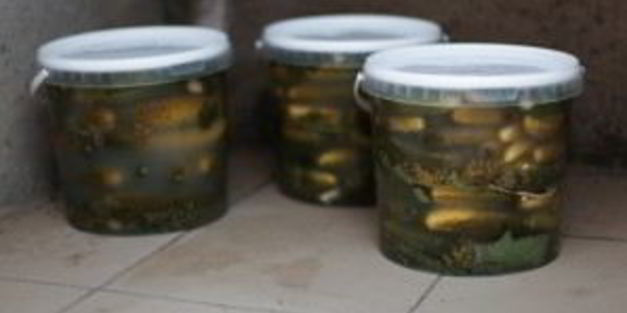 квашеные огурчики