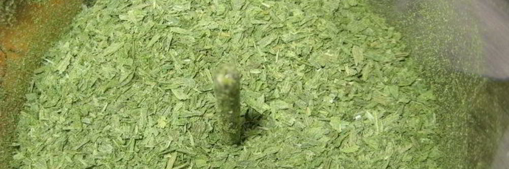 Лук-порей на зиму