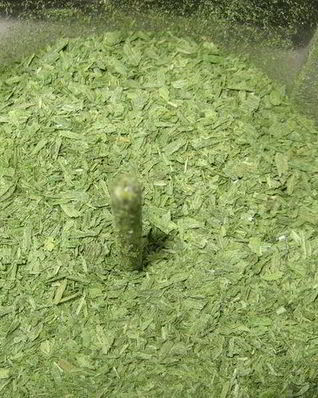 Лук-порей на зиму