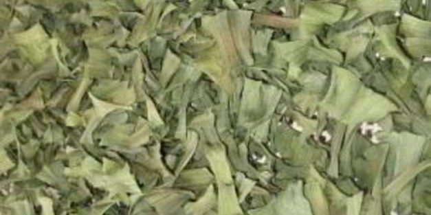 лук-порей на зиму