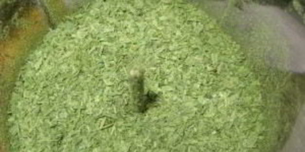 лук-порей на зиму