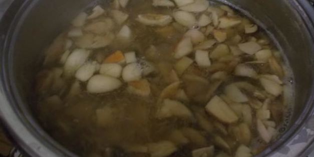 белые грибы маринованные