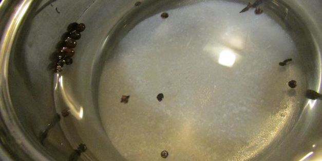 чеснок, маринованный с крыжовником