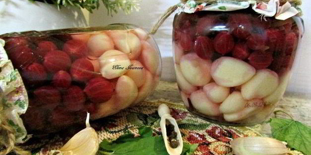 чеснок, маринованный с крыжовником