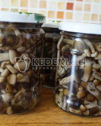 Маринованные опята