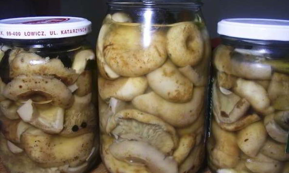 Рецепт грузди маринованные хрустящие