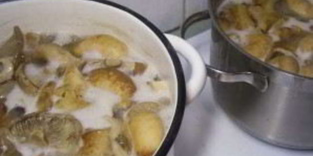 грузди маринованные хрустящие