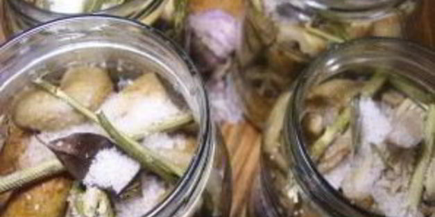 грузди маринованные хрустящие