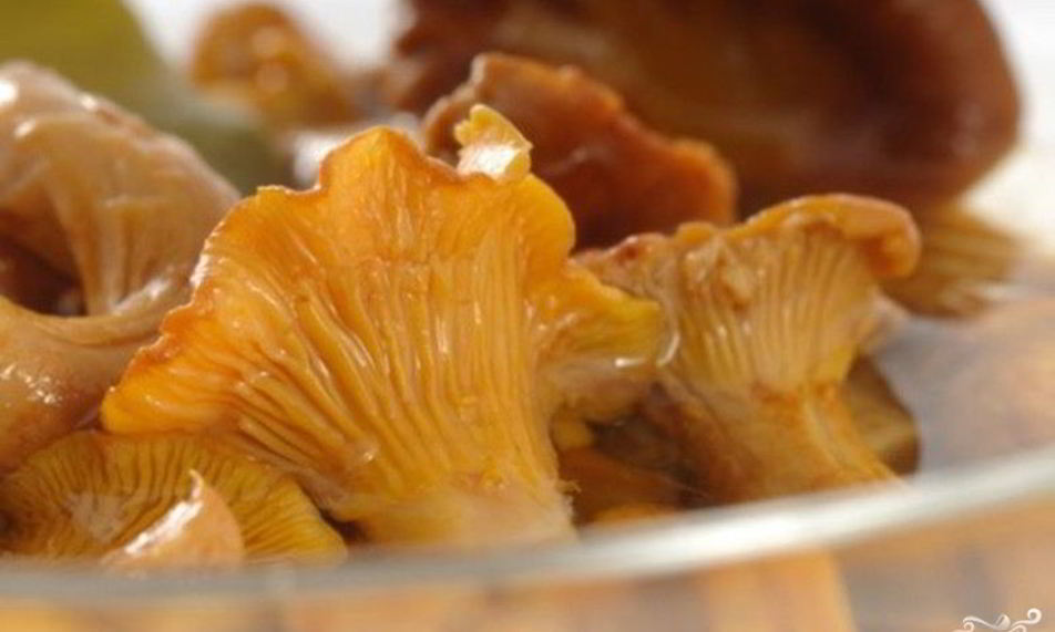 Рецепт лисички маринованные