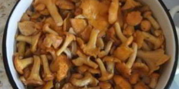 лисички маринованные