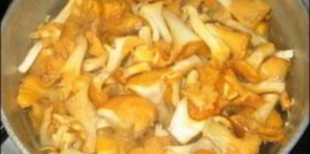 лисички маринованные