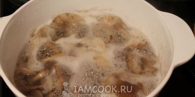 маринование опят без стерилизации на зиму