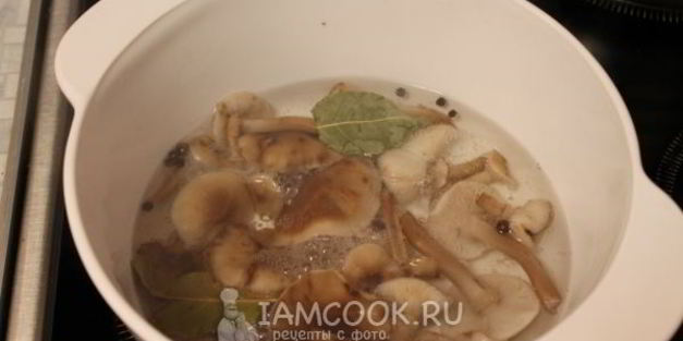 маринование опят без стерилизации на зиму