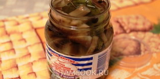 маринование опят без стерилизации на зиму