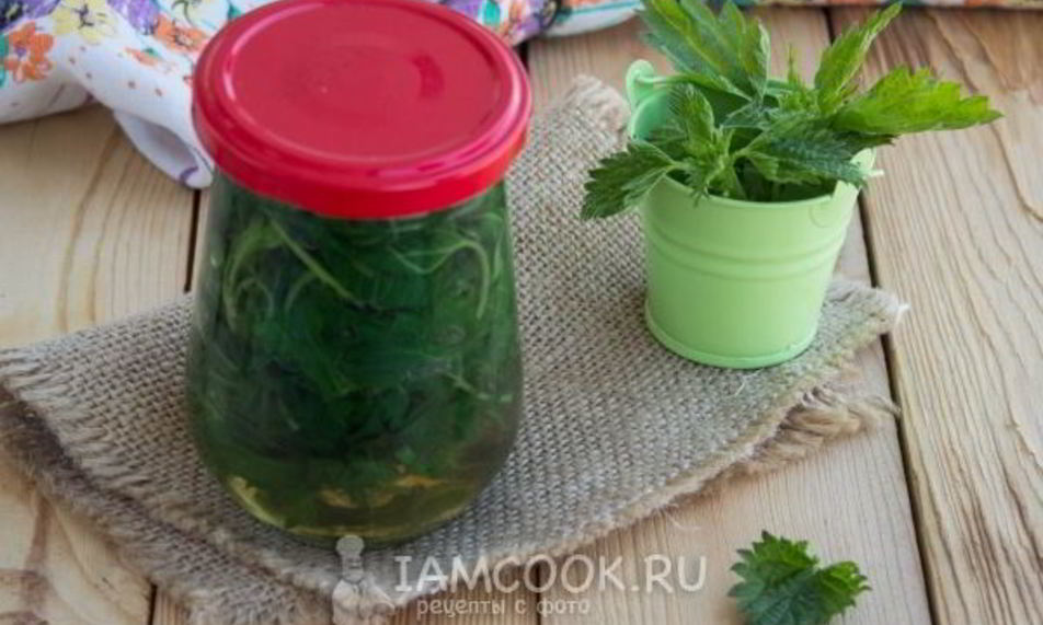 Рецепт маринованная крапива