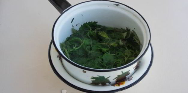 маринованная крапива