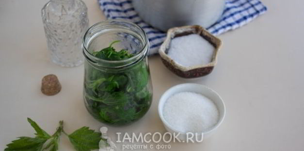 маринованная крапива