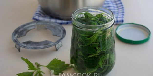 маринованная крапива