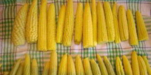 маринованная кукуруза на зиму