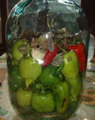 Маринованный болгарский перец