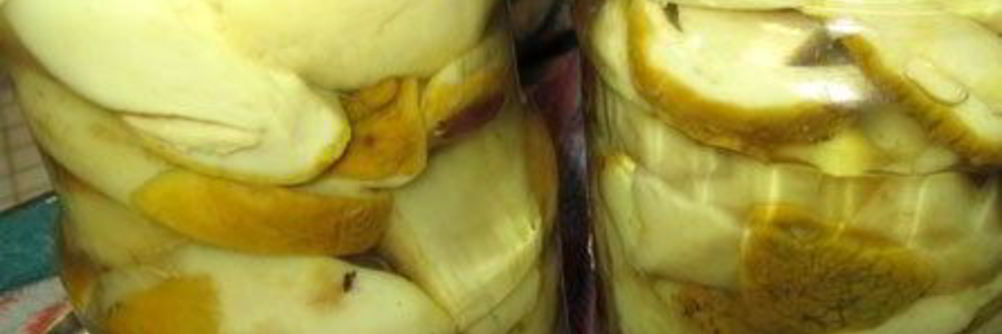 Маринованные белые грибы на зиму