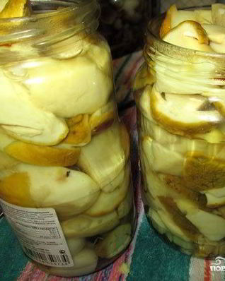 Маринованные белые грибы на зиму