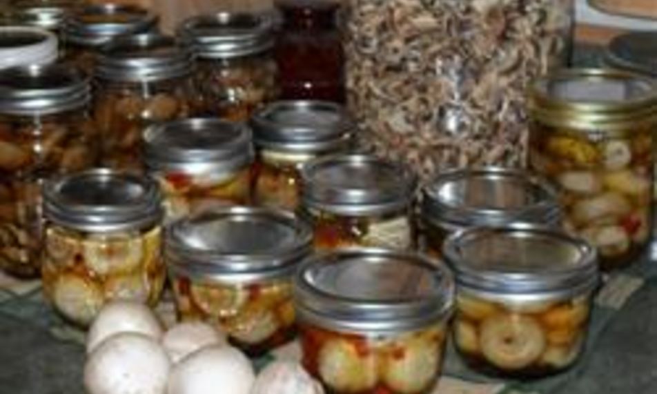 Рецепт маринованные грибы