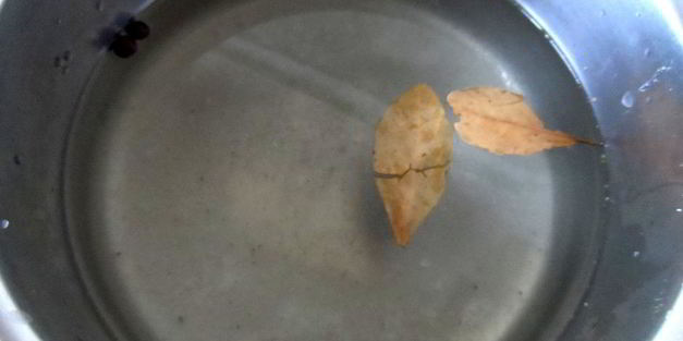 маринованные кабачки