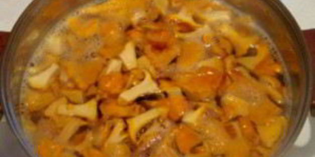 маринованные лисички на зиму