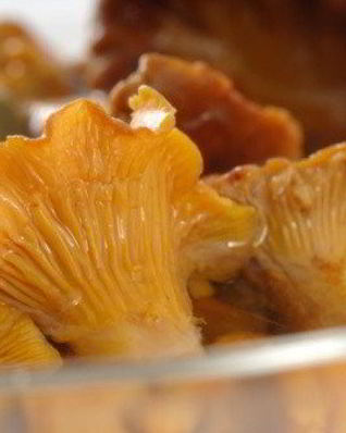 Маринованные лисички с изюмом