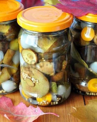 Маринованные моховики на зиму