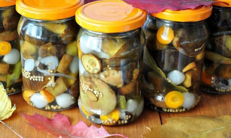 Рецепт маринованные моховики на зиму