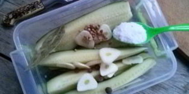 маринованные огурцы без закатки