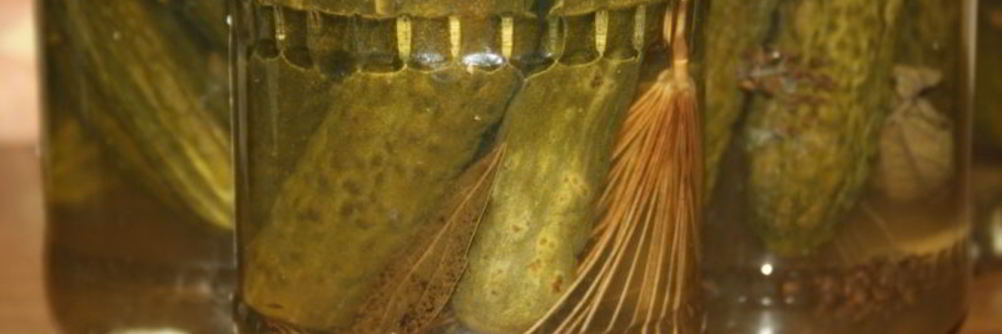 Маринованные огурцы на зиму