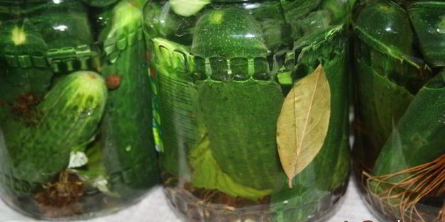 маринованные огурцы на зиму