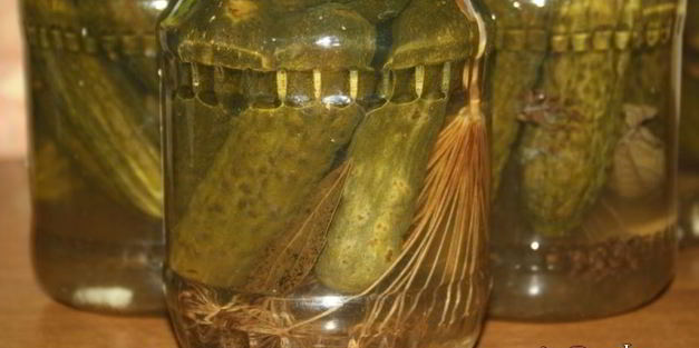 маринованные огурцы на зиму