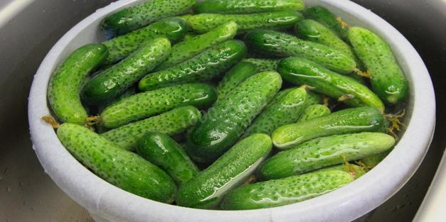 маринованные огурцы стерилизованные
