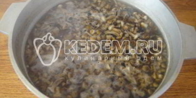 маринованные опята малыши в банке