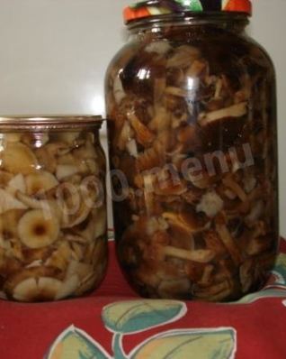 Маринованные опята по-белорусски