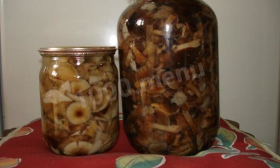 Рецепт маринованные опята по-белорусски