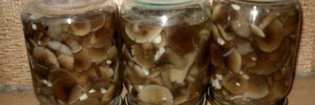 Маринованные опята с чесноком