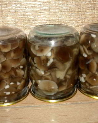 Маринованные опята с чесноком