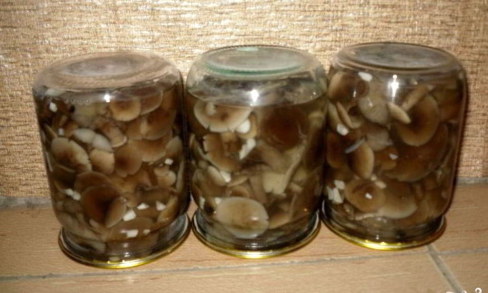 Рецепт маринованные опята с чесноком