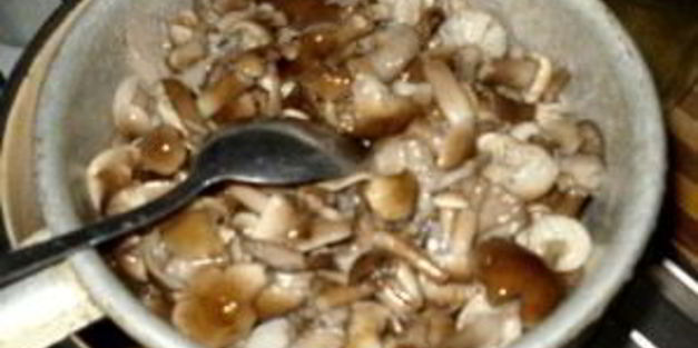 маринованные опята с чесноком