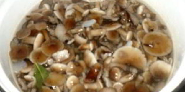 маринованные опята с чесноком