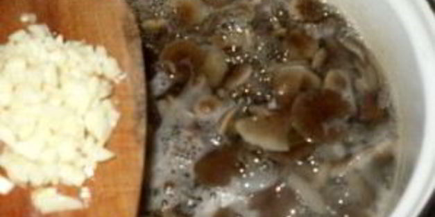 маринованные опята с чесноком