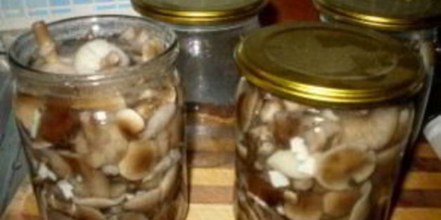 маринованные опята с чесноком